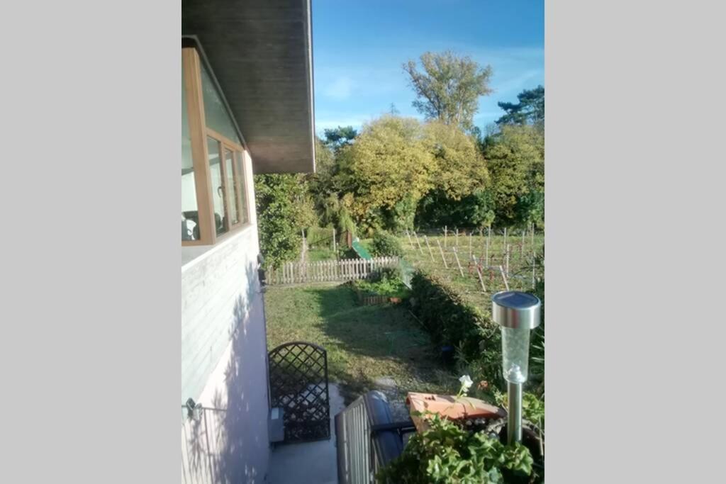 Appartamento Uno sguardo sulla Valpolicella Pedemonte Esterno foto